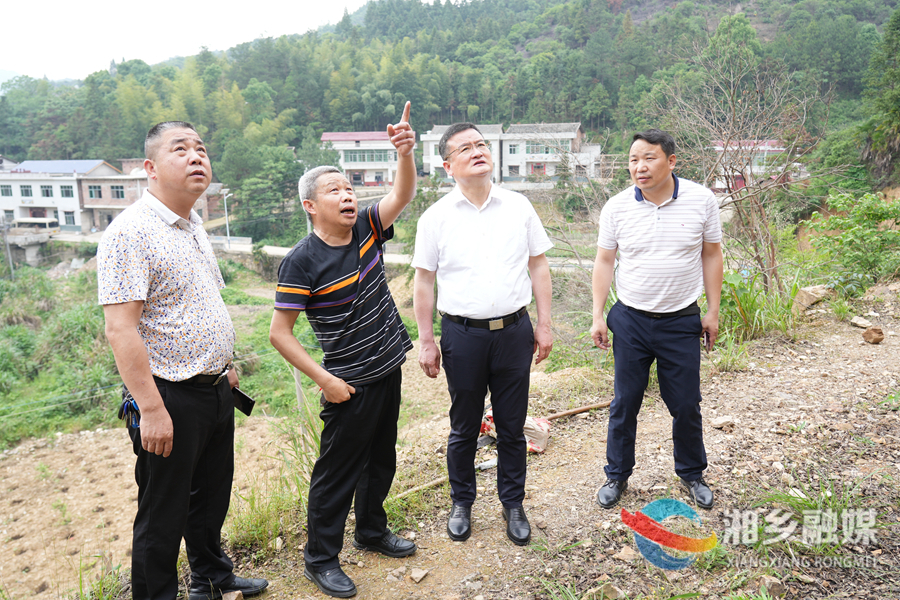 【大兴调查研究】赵新文：打造油茶全产业链 为乡村振兴“加油” 