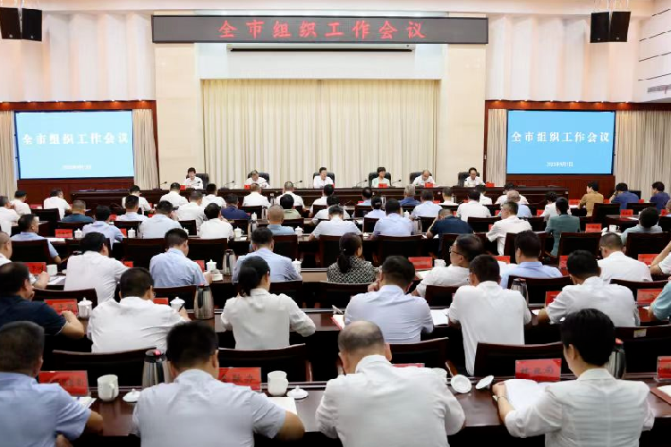 赞！这项工作在湘潭市组织工作会议上作典型发言 