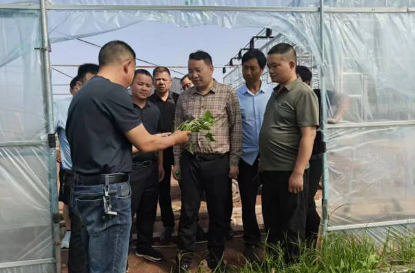 潭市镇：以特色产业画笔 绘就“共富”画卷 
