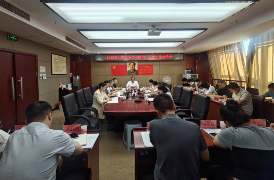 凝心聚力 提质增效 湘乡市委组织部召开2025年上半年乡镇（街道）组织工作总结会 