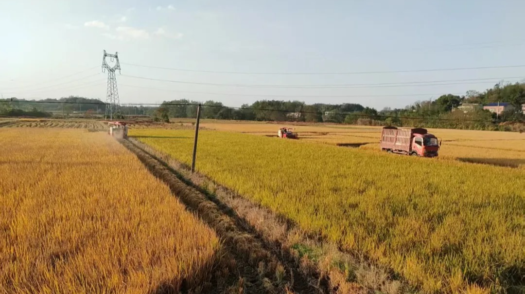 昆仑桥街道：立足资源优势 壮大村级集体经济 