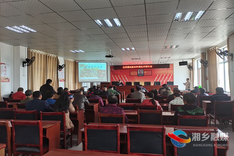 0bc633fca15fb56c020b6fa3e1f3421_副本.jpg