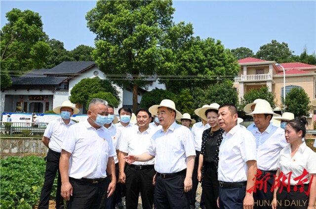 张庆伟在汨罗市湘阴县调研：坚决抓好粮食安全弘扬优秀传统文化 以新担当新作为奋进新征程建功新时代