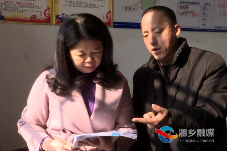周赏玲查阅白田镇新苗村村（社区）“两委”换届工作资料台账。.png