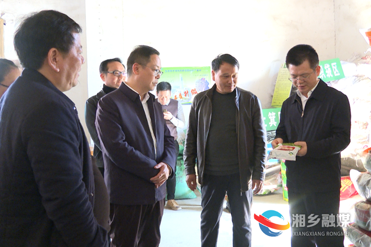 何俊峰在新三湘供销农资有限公司东郊配送站督查指导春耕备耕工作。.png