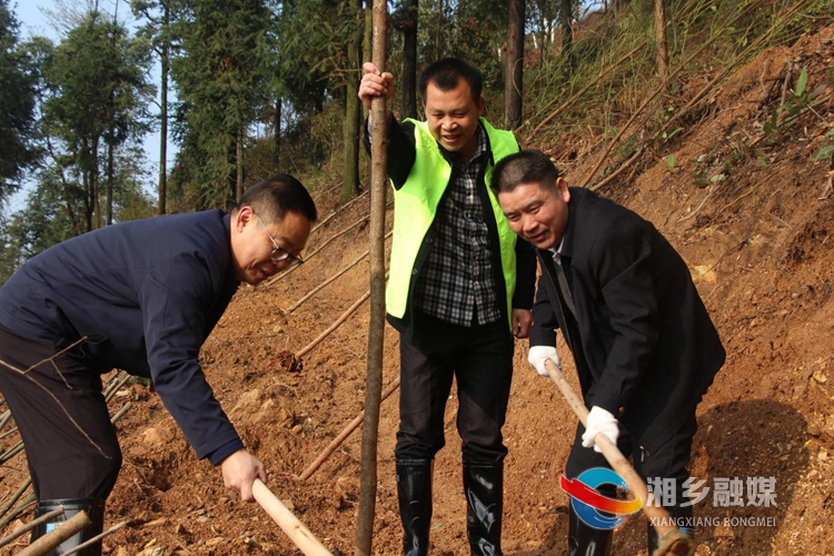 彭瑞林（左一）、彭初阳（右一）参加植树活动。.jpg