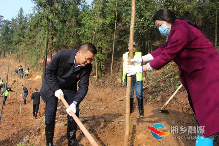 周俊文（左一）、周赏玲（右一）参加植树活动。.jpg
