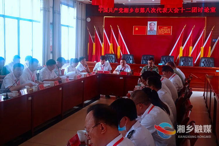 彭湘参加第十二代表团分团讨论。.png