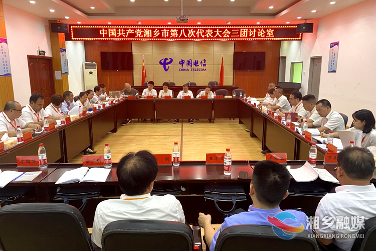 谢志宏参加第三代表团分团讨论。.png