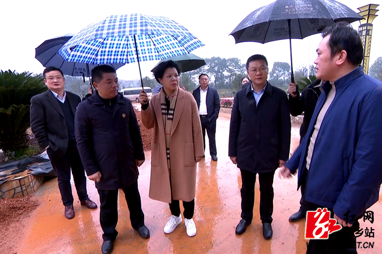 QQ图片20190311131630_副本.jpg