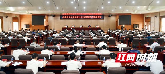 县委书记抓党建.marked.jpg