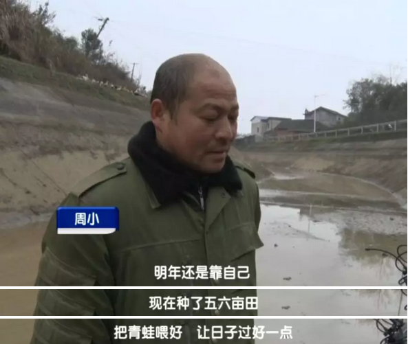 毛田人口_大崎毛田小学图片(3)